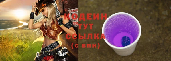 не бодяженный Ельня